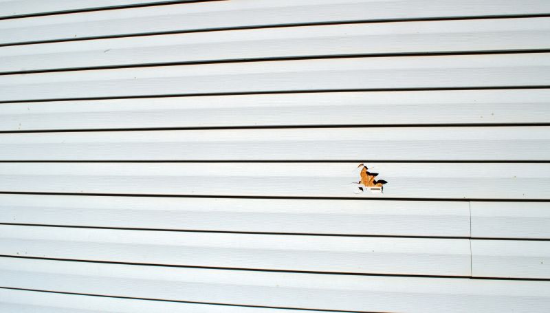 Materials for Repair